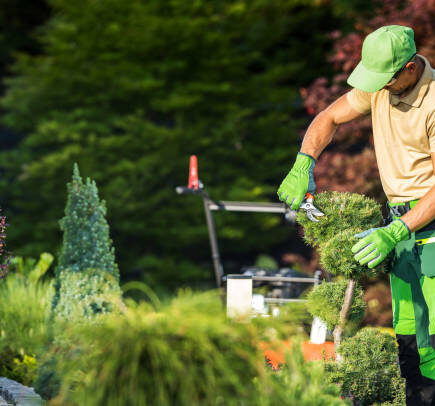 Ratschläge für Arbeiten im Garten